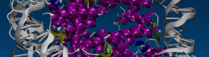 Cropped shot of an AMBER nucleosome simulation (visualized with VMD)